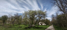 Püspökladány 