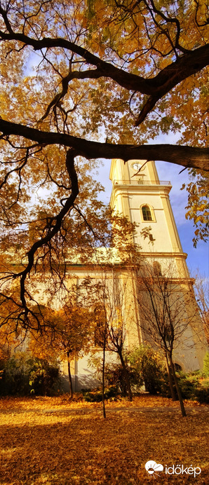 Hull az elsárgult levél! 