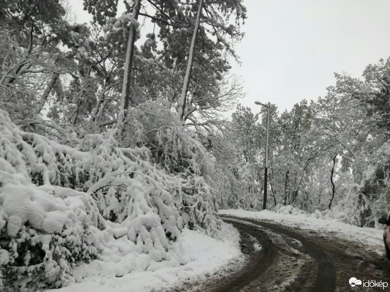 Pécs