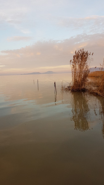 Balatonfenyves