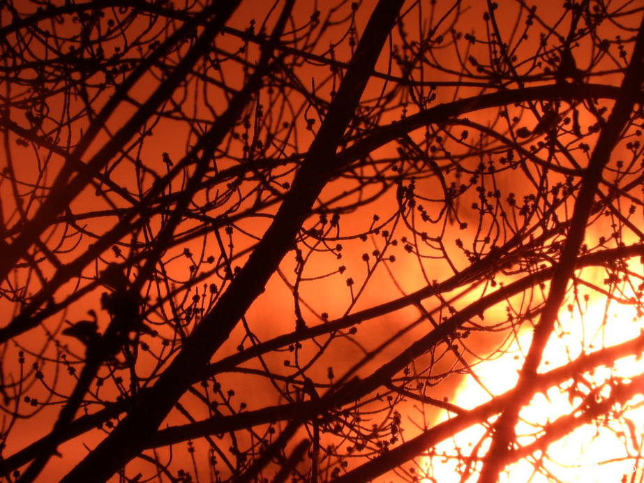 Naplemente és sziluett