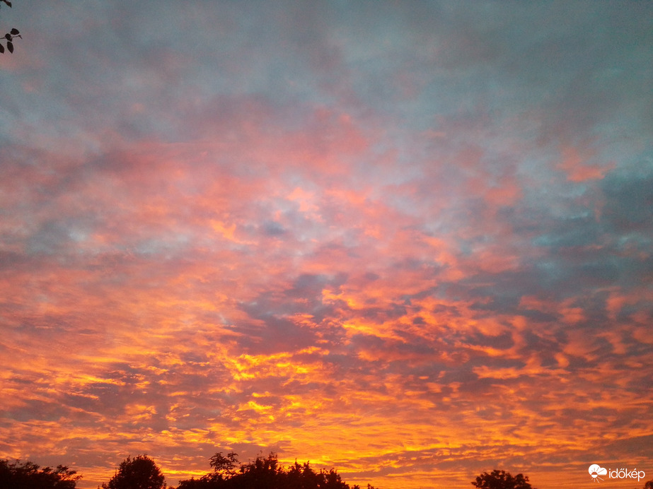 Észlelési fényképek