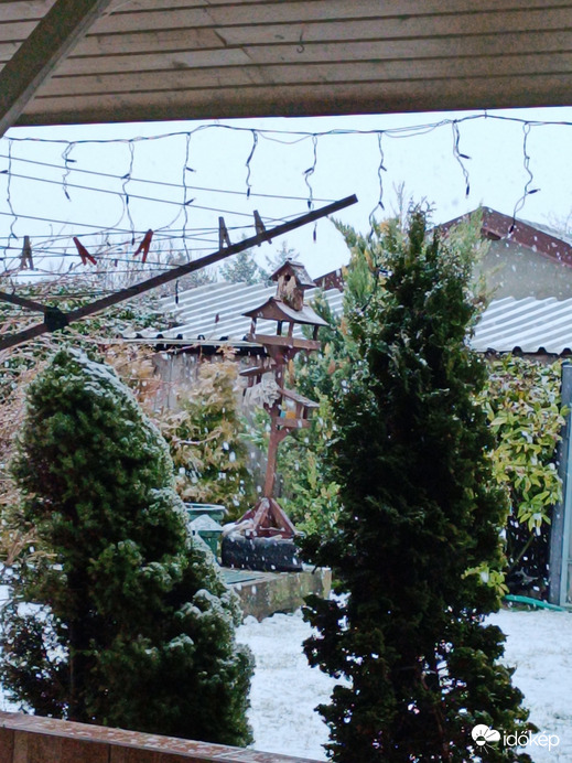 Észlelési fényképek