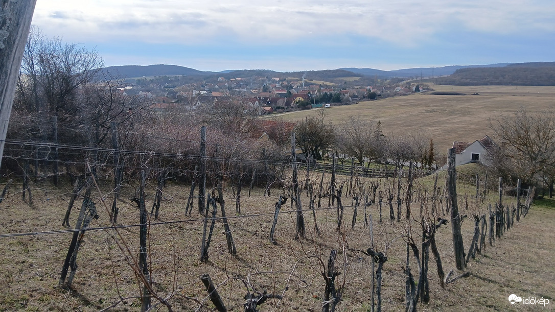 Észlelési fényképek