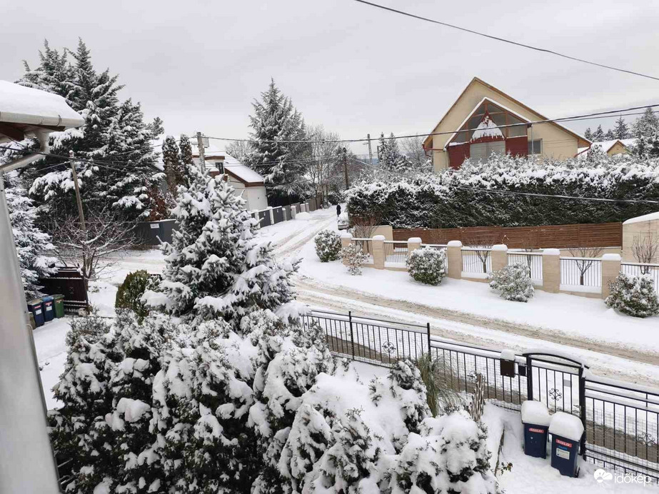 Észlelési fényképek