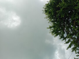 Vác