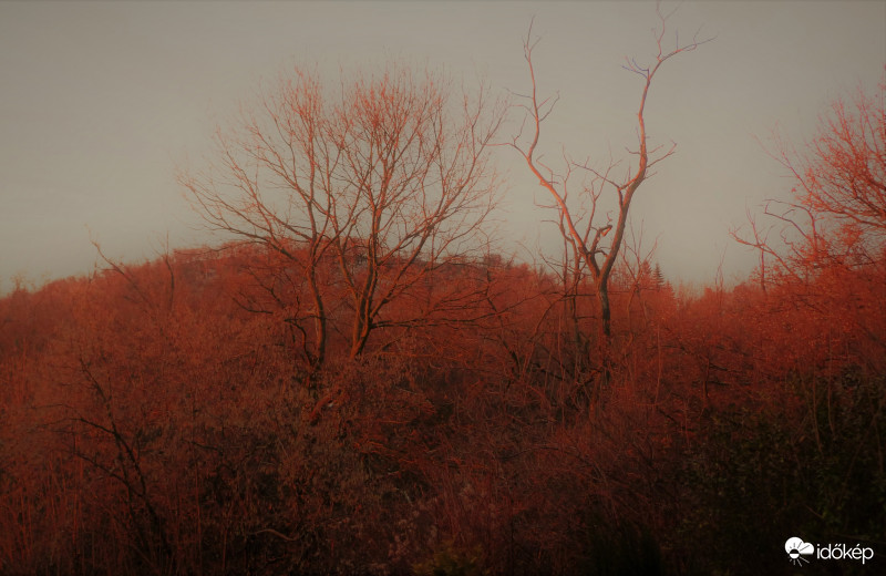 Észlelési fényképek