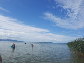 Balatonfenyves