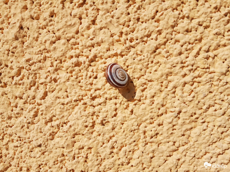 Falra mászom Tőled !