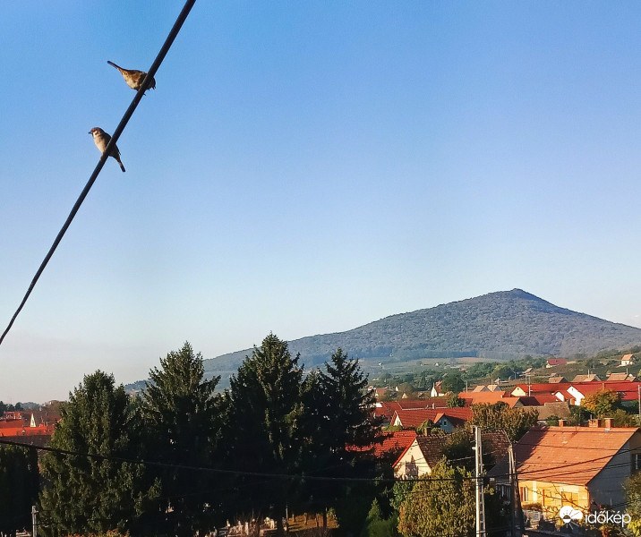 Mizu arra? Erre semmi és arra? :)