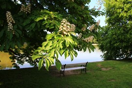 Tatai relax