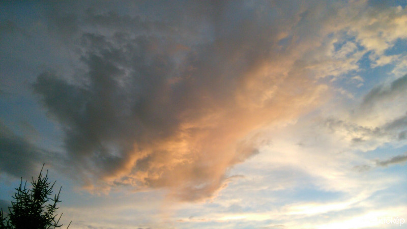 Észlelési fényképek