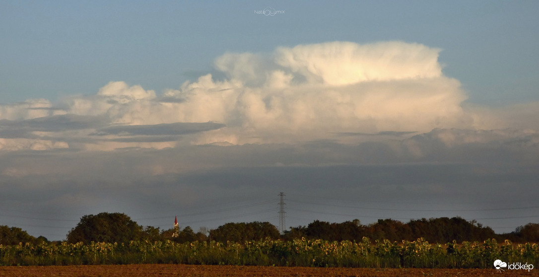 Cumulonimbus capillatus