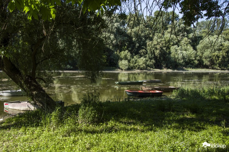 kikötő