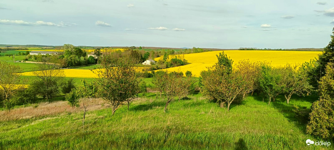 Bögötei határ