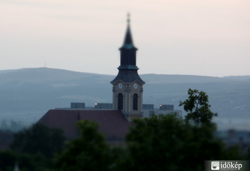 Toronyóra