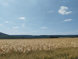 Romhány