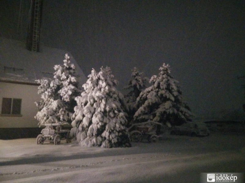 Észlelési fényképek