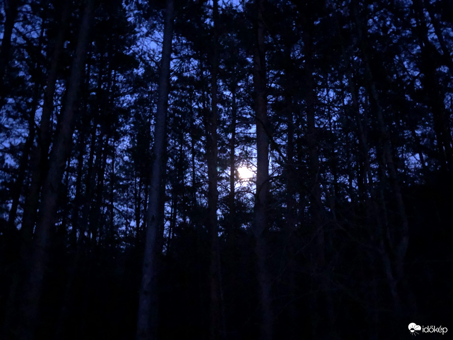 Észlelési fényképek