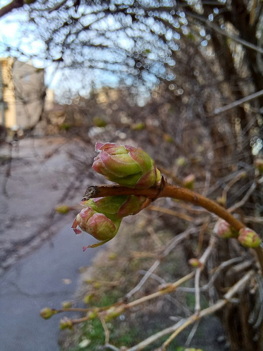 Budapest XIII.ker - Angyalföld