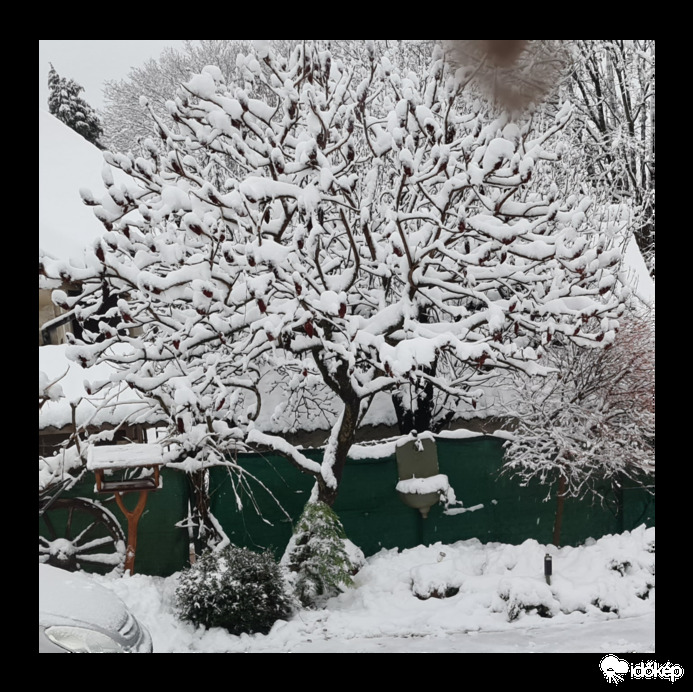 Észlelési fényképek