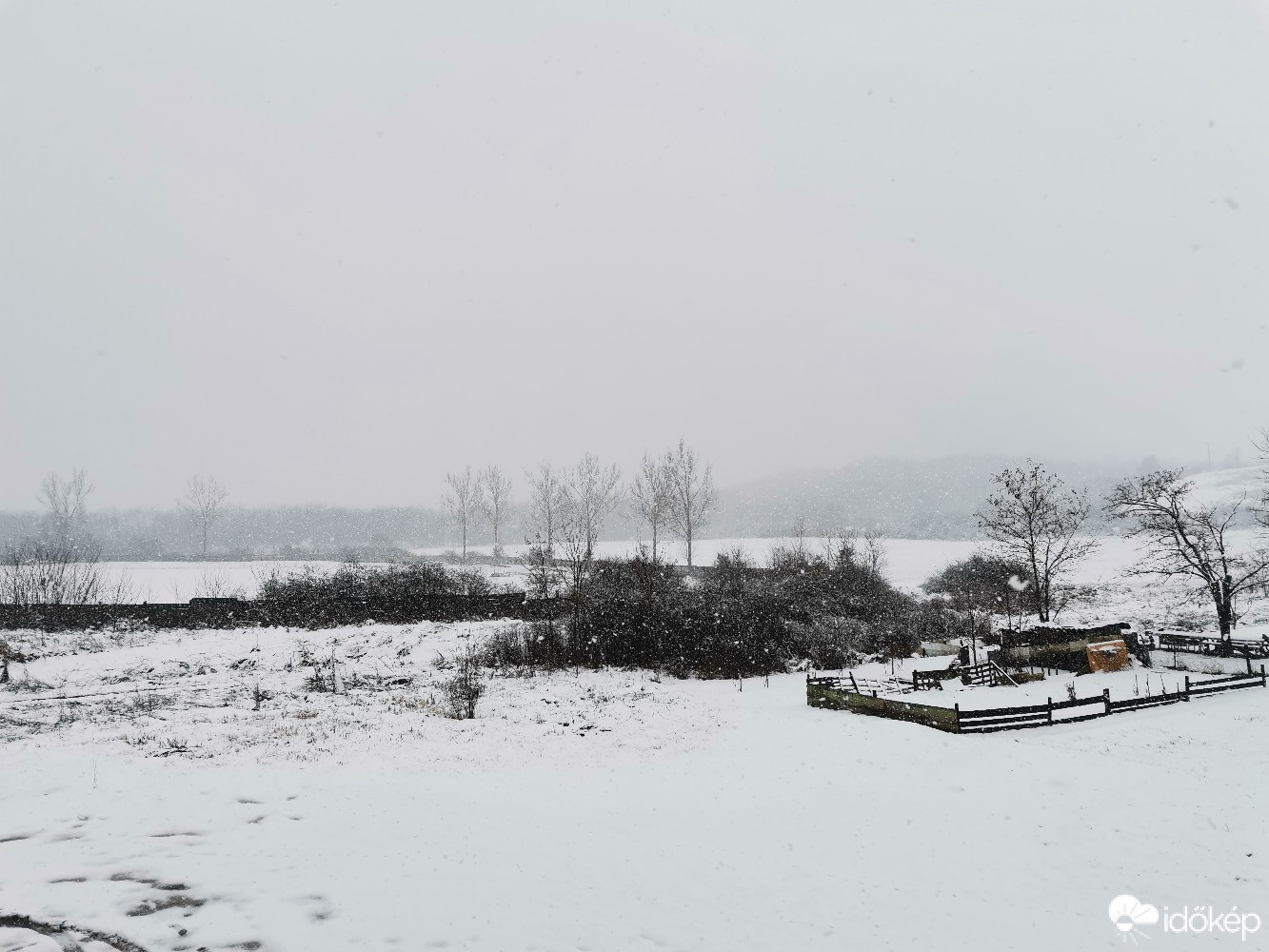 Észlelési fényképek