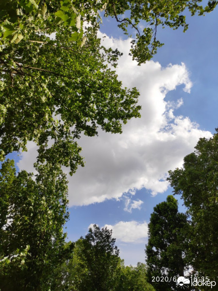 Észlelési fényképek