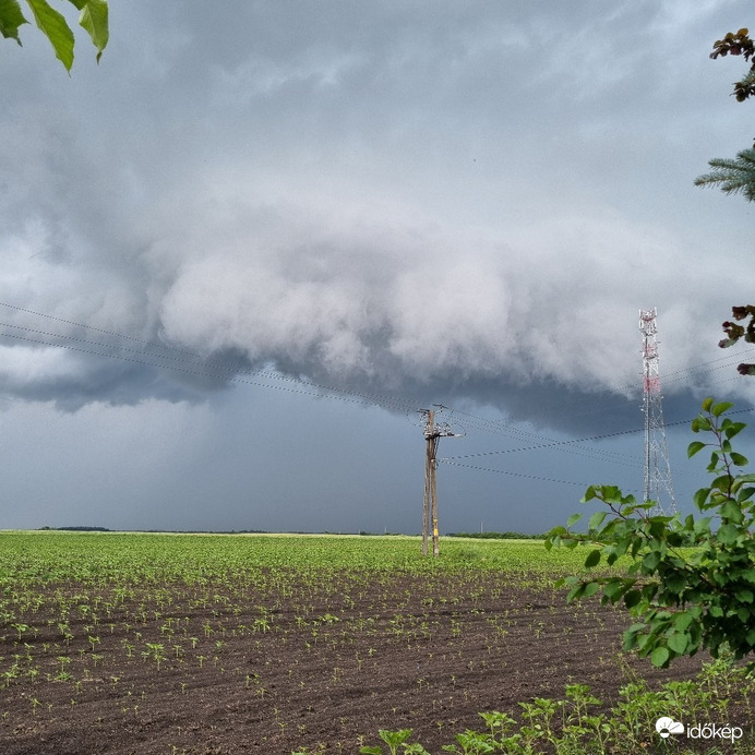 Észlelési fényképek