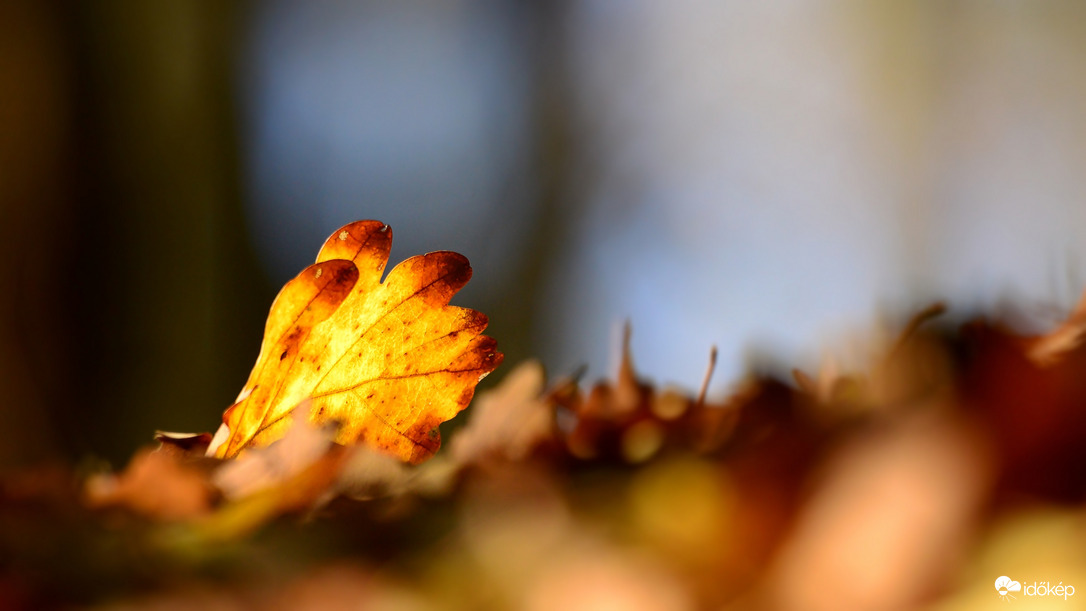 Levelem érkezett...