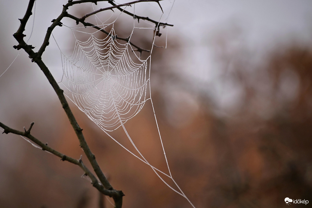 Egy kihűlt otthon...