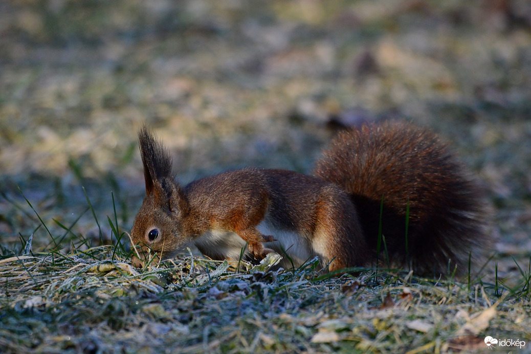 Valaki nagyon keres valamit. :)