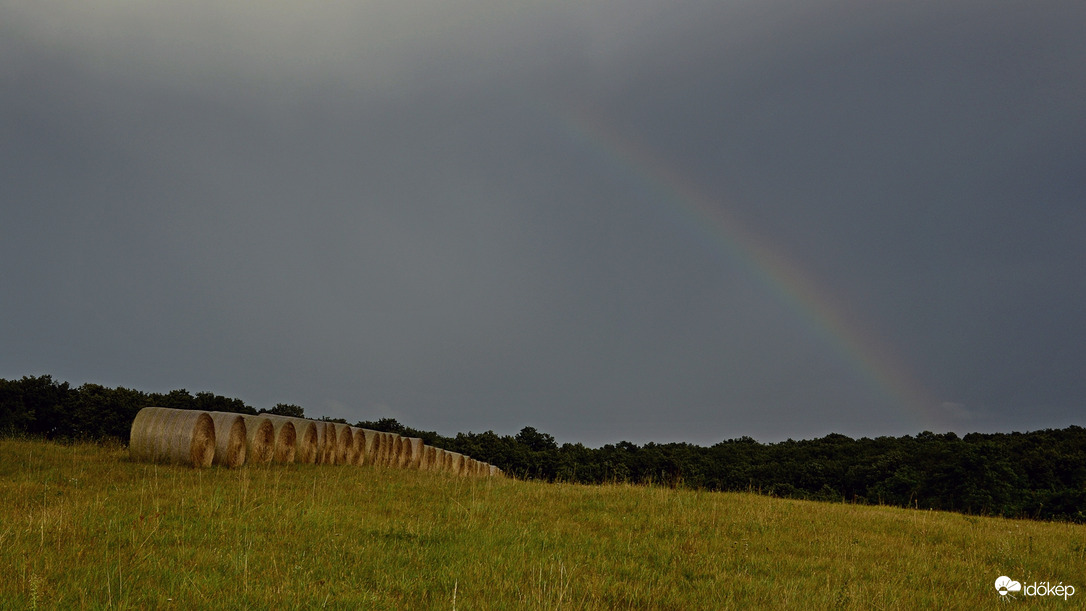 Délutáni meglepetés.