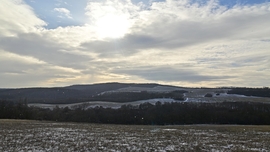 Hull a pelyhes és napsütés. 