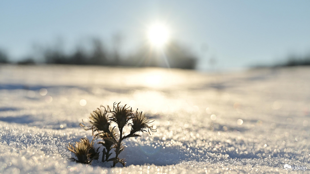 Havas, hideg, mégis napfényes napok. 