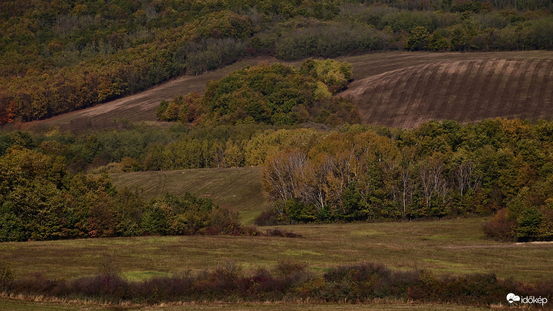 Az ősz csodaszínvilága.