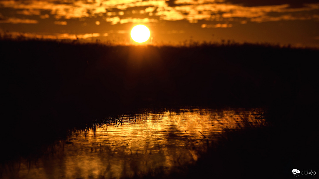 Pocsolyába léptem...