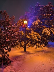 Hódmezővásárhely