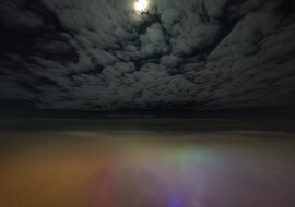 Hódmezővásárhely