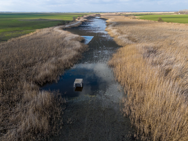 Megjelent a víz a Kakasszéki tórendszerben