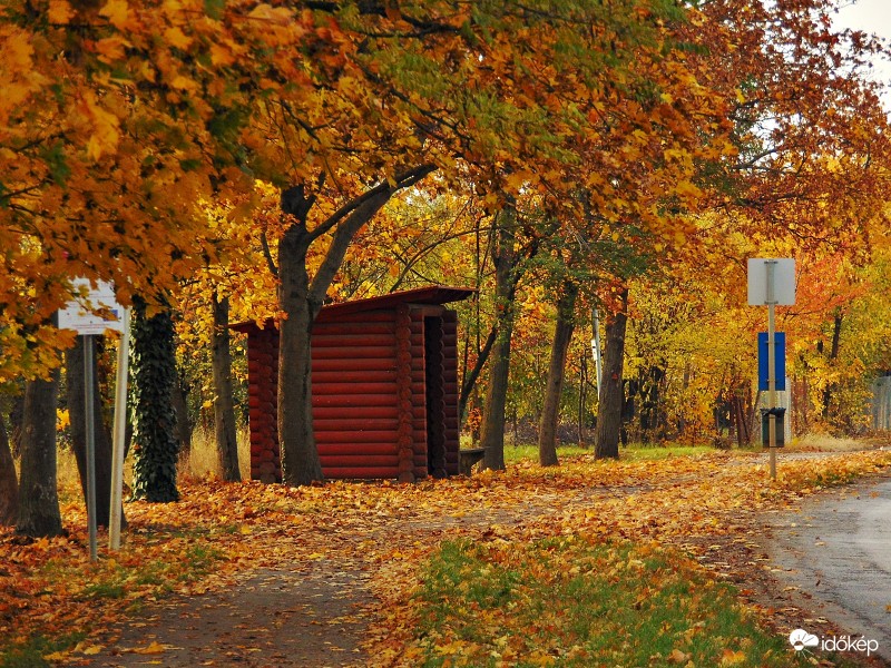 Buszmegálló