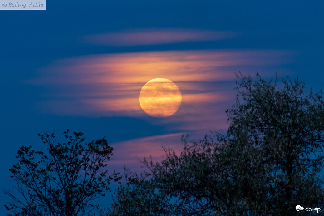 Holdkelte az ártérben