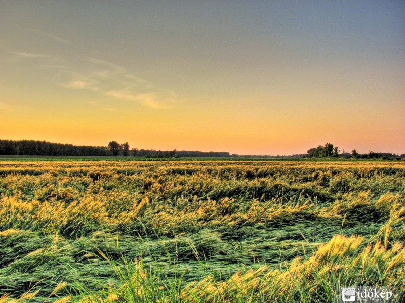 Naplemente a Tisza mentén II.