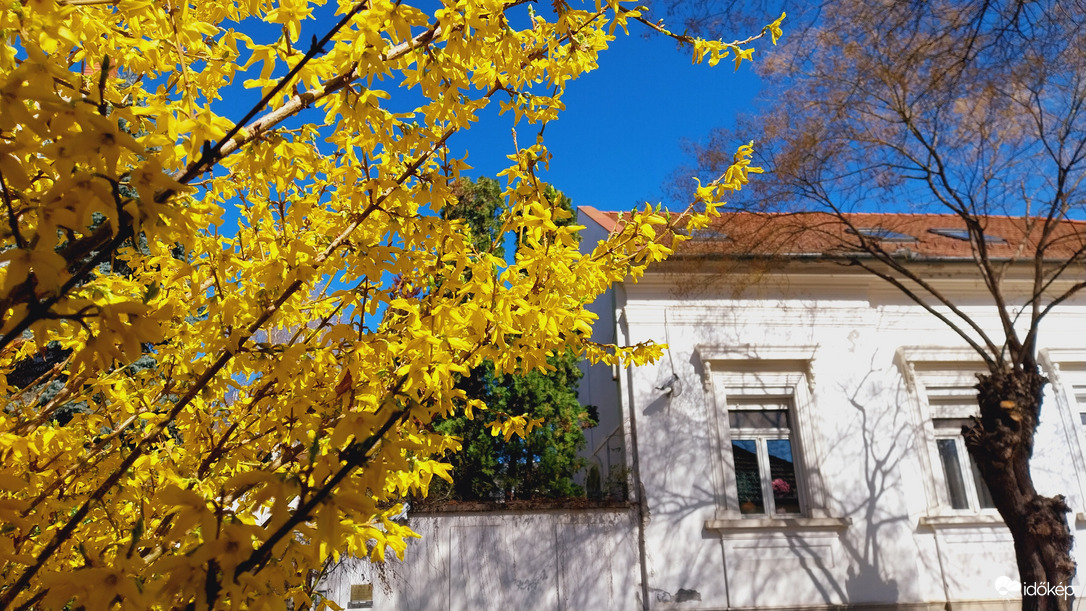 Szeged