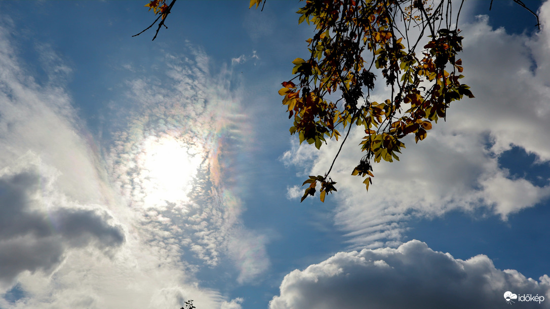 Körtvélyes délelőtt.