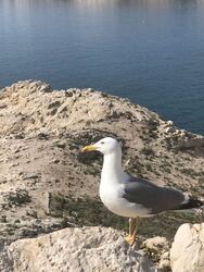 Marseille