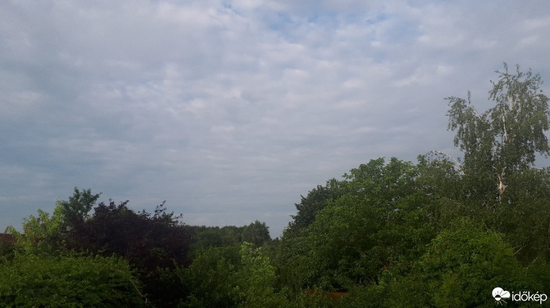 Észlelési fényképek