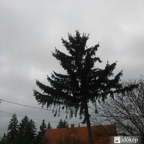 Észlelési fényképek