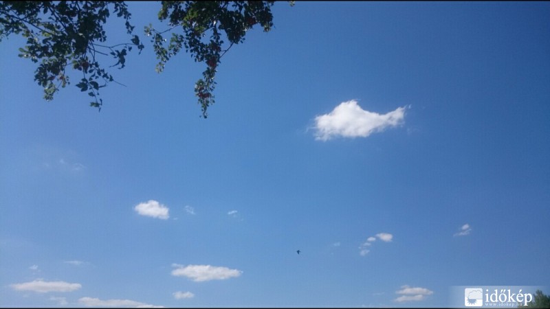 Észlelési fényképek