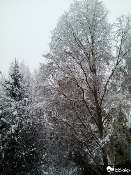 Fehérgyarmat