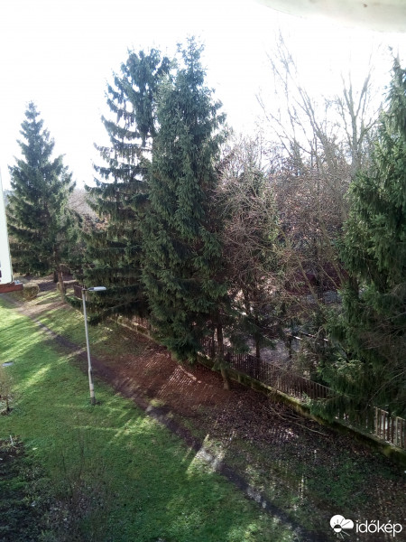 Fehérgyarmat